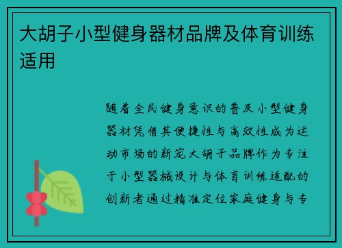 大胡子小型健身器材品牌及体育训练适用