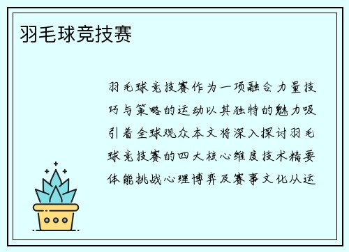 羽毛球竞技赛